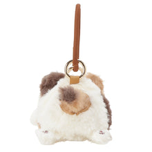 ふくふくにゃんこ おでかけにゃんこポシェット【WEB限定】