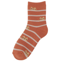 ふくふくにゃんこ しましまパイルソックス