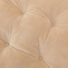 【2/18予約開始】ふくふくにゃんこ すわってシートクッション【2月27日出荷予定】