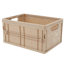 ふくふくにゃんこ フェイス折りたためるプラコンテナMサイズ