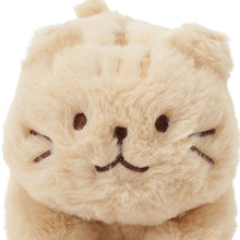 ふくふくにゃんこ  ぬいぐるみペンポーチ(ミケランジェロ・チャチャ丸)