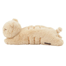 ふくふくにゃんこ  ぬいぐるみペンポーチ(ミケランジェロ・チャチャ丸)