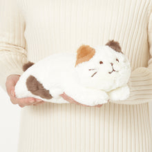 ふくふくにゃんこ  ぬいぐるみペンポーチ(ミケランジェロ・チャチャ丸)