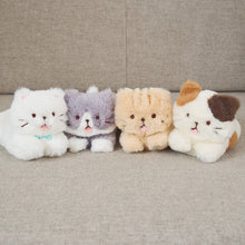 ふくふくにゃんこ ごろにゃんぬいぐるみ(ハッチ・しろたま)