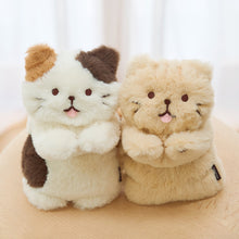 ふくふくにゃんこ ごろにゃんぬいぐるみ(ミケランジェロ・チャチャ丸)