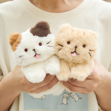 ふくふくにゃんこ ごろにゃんぬいぐるみ&ポスターセット【WEB限定】