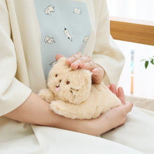 ふくふくにゃんこ ごろにゃんぬいぐるみ&ポスターセット【WEB限定】