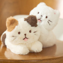 ふくふくにゃんこ ごろにゃんぬいぐるみ(ハッチ・しろたま)