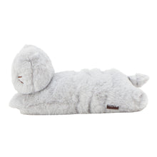 ふくふくにゃんこ ごろにゃんぬいぐるみ&ポスターセット【WEB限定】