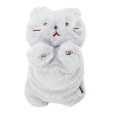 ふくふくにゃんこ ごろにゃんぬいぐるみ&ポスターセット【WEB限定】