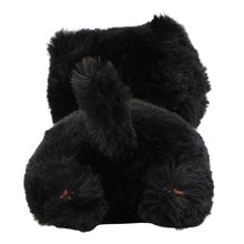 ふくふくにゃんこ ごろにゃんぬいぐるみ&ポスターセット【WEB限定】