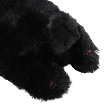 ふくふくにゃんこ ごろにゃんぬいぐるみ&ポスターセット【WEB限定】