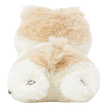 ふくふくにゃんこ ごろにゃんぬいぐるみ&ポスターセット【WEB限定】