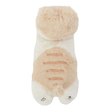 ふくふくにゃんこ ごろにゃんぬいぐるみ&ポスターセット【WEB限定】