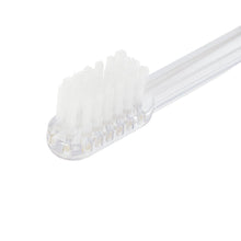 ふくふくにゃんこ みつめて歯ブラシ2本セット【WEB限定】