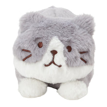 ふくふくにゃんこ ぬいぐるみペンポーチ(ハッチ・しろたまちゃん)