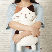 ふくふくにゃんこ ミニもっちり抱きぐるみ