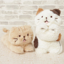 ふくふくにゃんこ ごろにゃんぬいぐるみ(ミケランジェロ・チャチャ丸)