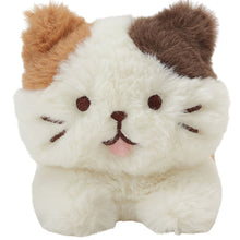ふくふくにゃんこ ごろにゃんぬいぐるみ(ミケランジェロ・チャチャ丸)
