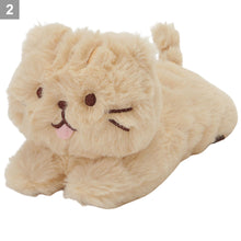 ふくふくにゃんこ ごろにゃんセット