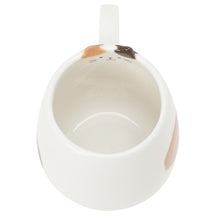 ふくふくにゃんこ にゃんこっぷ