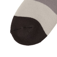 ふくふくにゃんこ 裏起毛太ボーダーソックス