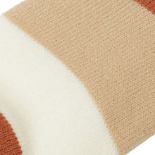 ふくふくにゃんこ 裏起毛太ボーダーソックス