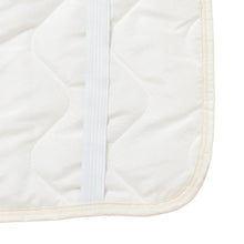 ふくふくにゃんこ フランネルピローパッド