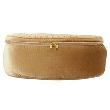 ふくふくにゃんこ 小判の中から招きにゃんこ【WEB限定】