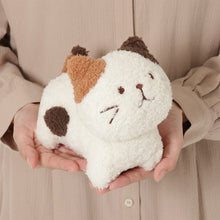 ふくふくにゃんこミケランジェロ堪能セット