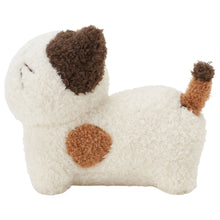 ふくふくにゃんこ みつめてマスコット&ポスターセット【WEB限定】