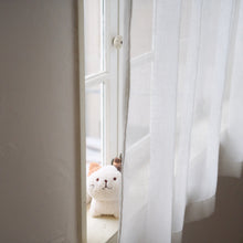 ふくふくにゃんこ みつめてマスコット(ミケランジェロ・チャチャ丸・ハッチ・しろたまちゃん)