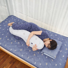 ふくふくにゃんこ 接触冷感CATCHジェル枕