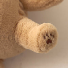 ふくふくにゃんこ POSEIES(ポージーズ) &ポスターセット【WEB限定】