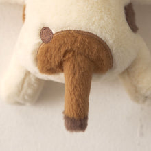 ふくふくにゃんこ  POSEIES(ポージーズ)  自由にポーズが楽しめる癒し系ぬいぐるみマスコット