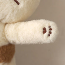 ふくふくにゃんこ POSEIES(ポージーズ) &ポスターセット【WEB限定】