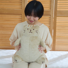 ふくふくにゃんこ 肯定感 抱きまくら