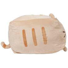 Fuku Fuku Nyankoチャチャ丸BIGクッション【WEB限定】