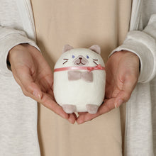 ふくふくにゃんこ マスコットM(スコア・シャーシャ)