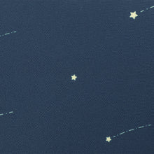 ふくふくにゃんこ おほしさまパソコンケース