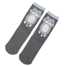 ふくふくにゃんこ のびにゃんパイルソックス