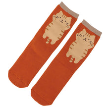 ふくふくにゃんこ のびにゃんパイルソックス