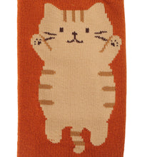 ふくふくにゃんこ のびにゃんパイルソックス