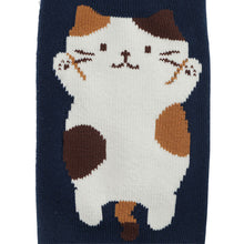 ふくふくにゃんこ のびにゃんパイルソックス