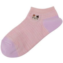 ふくふくにゃんこ ミックスカラースニーカーソックス