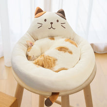 【再入荷】ふくふくにゃんこ  ペットベッド【WEB限定】