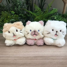 ふくふくにゃんこ ごろにゃんぬいぐるみ(ハッチ・しろたま)