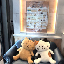 【11/29(土)コロンバン原宿サロン】ふくふくにゃんこ ティーパーティーチケット