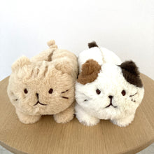 ふくふくにゃんこ  ぬいぐるみペンポーチ(ミケランジェロ・チャチャ丸)