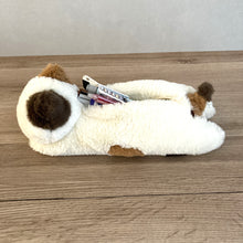 ふくふくにゃんこ  ぬいぐるみペンポーチ(ミケランジェロ・チャチャ丸)